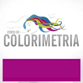 melhroes cursos online de colorimetria